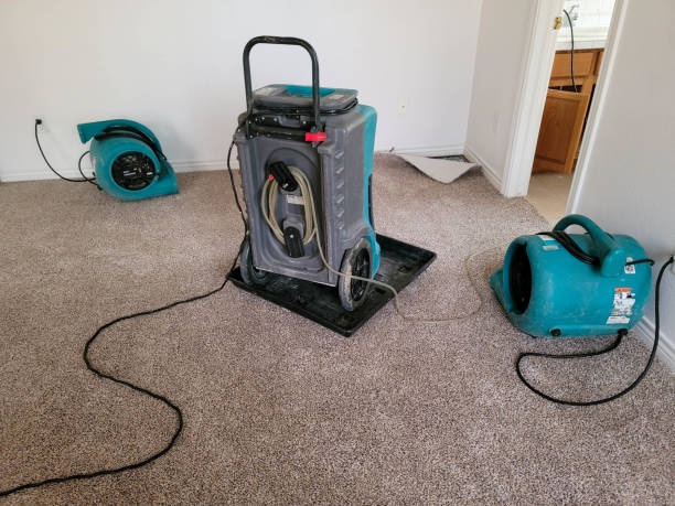  Seven Oaks, SC Water damage restoration Pros