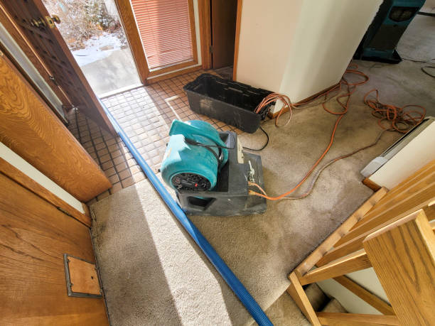 Best Ceiling water damage repair  in Seven Oaks, SC