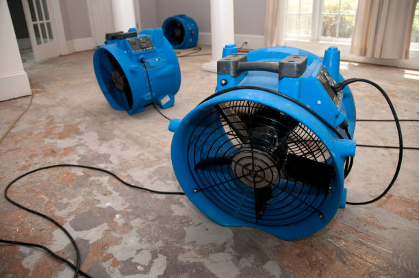 Best Basement water damage restoration  in Seven Oaks, SC