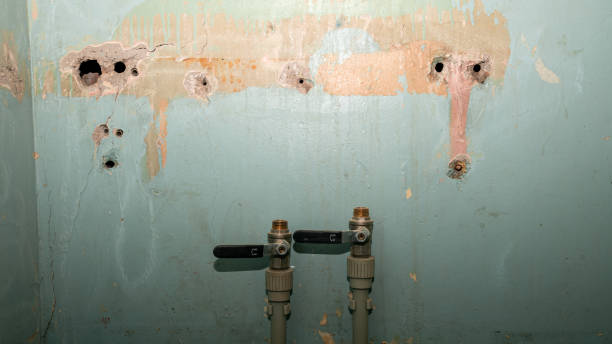 Best Water damage restoration near me  in Seven Oaks, SC