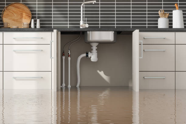 Best Water damage restoration cost  in Seven Oaks, SC