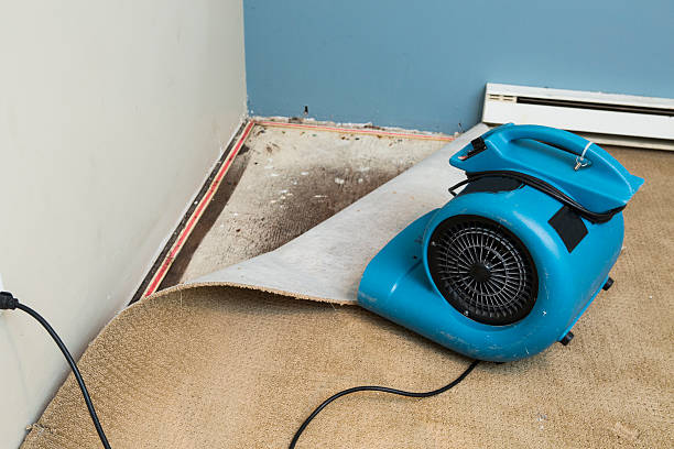 Best Water damage restoration services  in Seven Oaks, SC